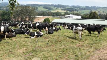 Ellinbank SmartFarm will open its doors to dairy farmers on May 9. File picture by Carlene Dowie