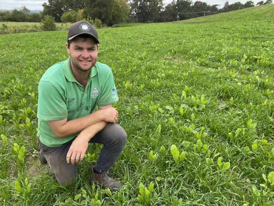 Will Russell's family property at Jellat Jellat is part of a dairy nutrient management trial conducted by NSW DPI and Clean Coastal Catchments.