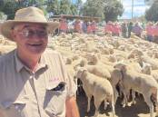 Kel Baxter, Berrigan, NSW, received $160 for his pen of 223 first-cross, April/May 2023-drop, October-shorn, ewes at Deniliquin, NSW. Picture by Stephen Burns