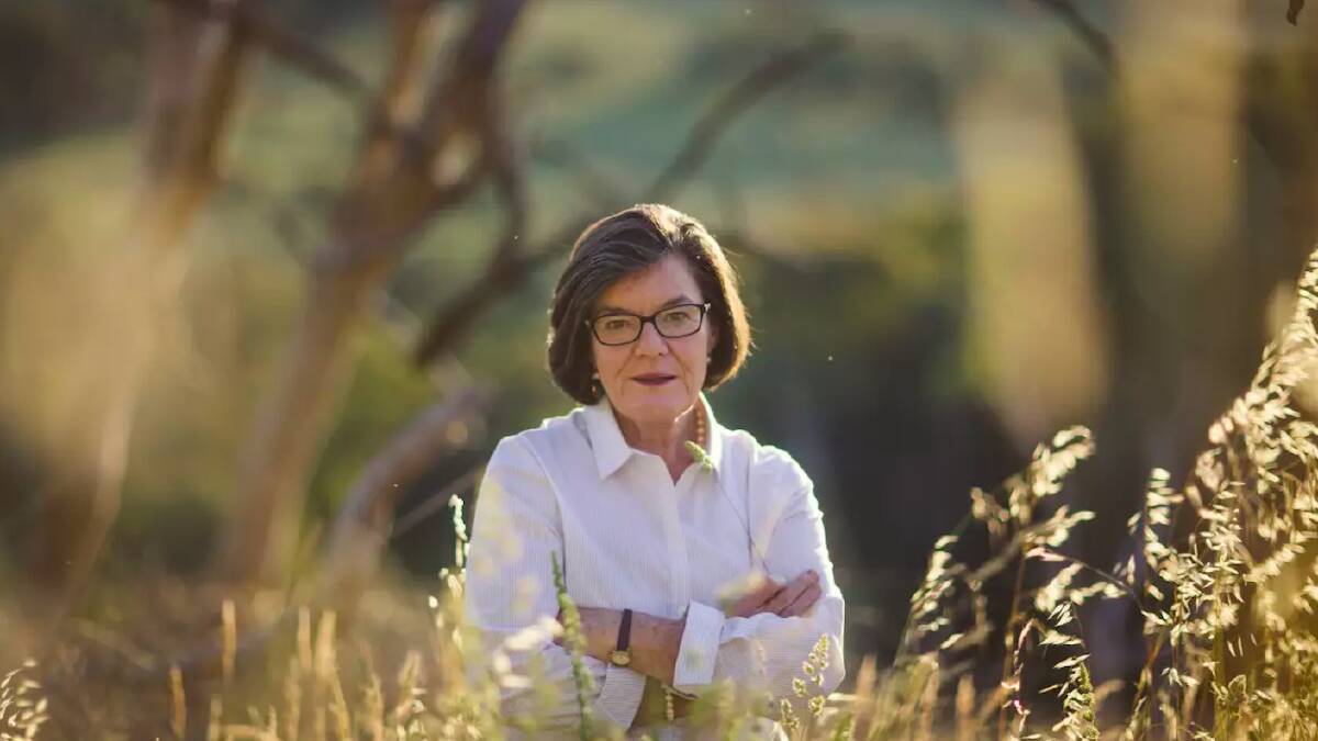 Former Federal MP Cathy McGowan is chair of AgriFutures Australia. Picture: Meredith O'Shea.