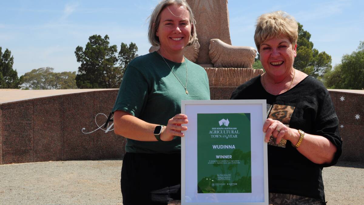 AIR EP's Naomi Scholz and Wudinna District Council mayor Eleanor Scholz with the town's 2023 Ag Town of the Year award. Picture by Katie Jackson