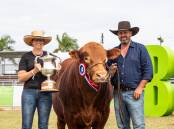 The Limousin breed took centre stage at Beef 2024, when the champion interbreed bull was awarded to Oakwood Cutright, pictured with part owners, Jess and David Eagleson, Ulster Limousins, Murgon, Qld. Picture by Kelly Walsh