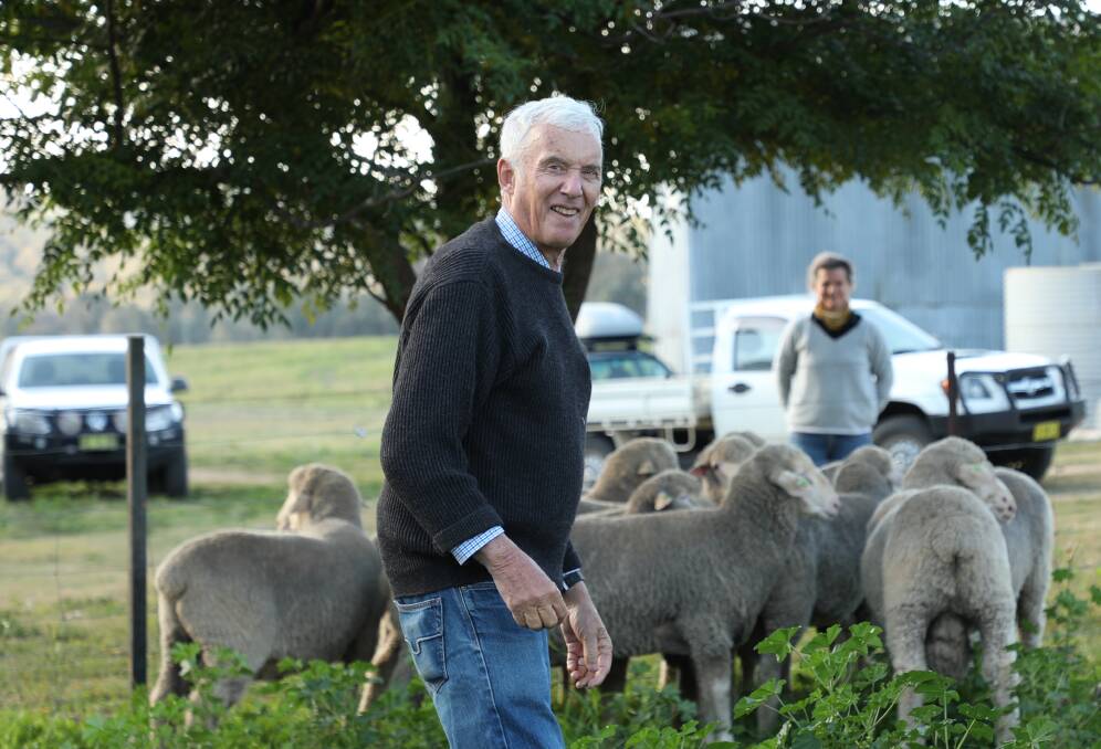 Doug Wright, Cowra, NSW, started breeding a non-mulesed flock 13 years ago and says there are health and efficiency benefits. Picture supplied