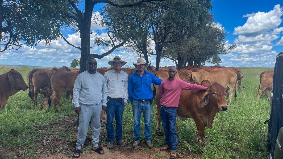 Thapelo Seilaleksos, Ashley Kirk and Esteban Cardona of Rockley Brahmans, and a geneticist from Botswana. Picture supplied 