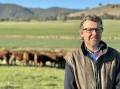 Tom Hicks at Hicks Beef, a family owned and operated seedstock business based in southern NSW. Picture supplied