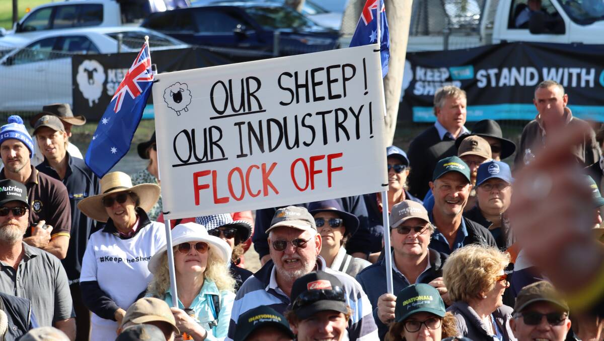 More than 2000 people attended a rally in Northam, Western Australia, last month to protest against Labor's live sheep by sea trade ban. File picture.