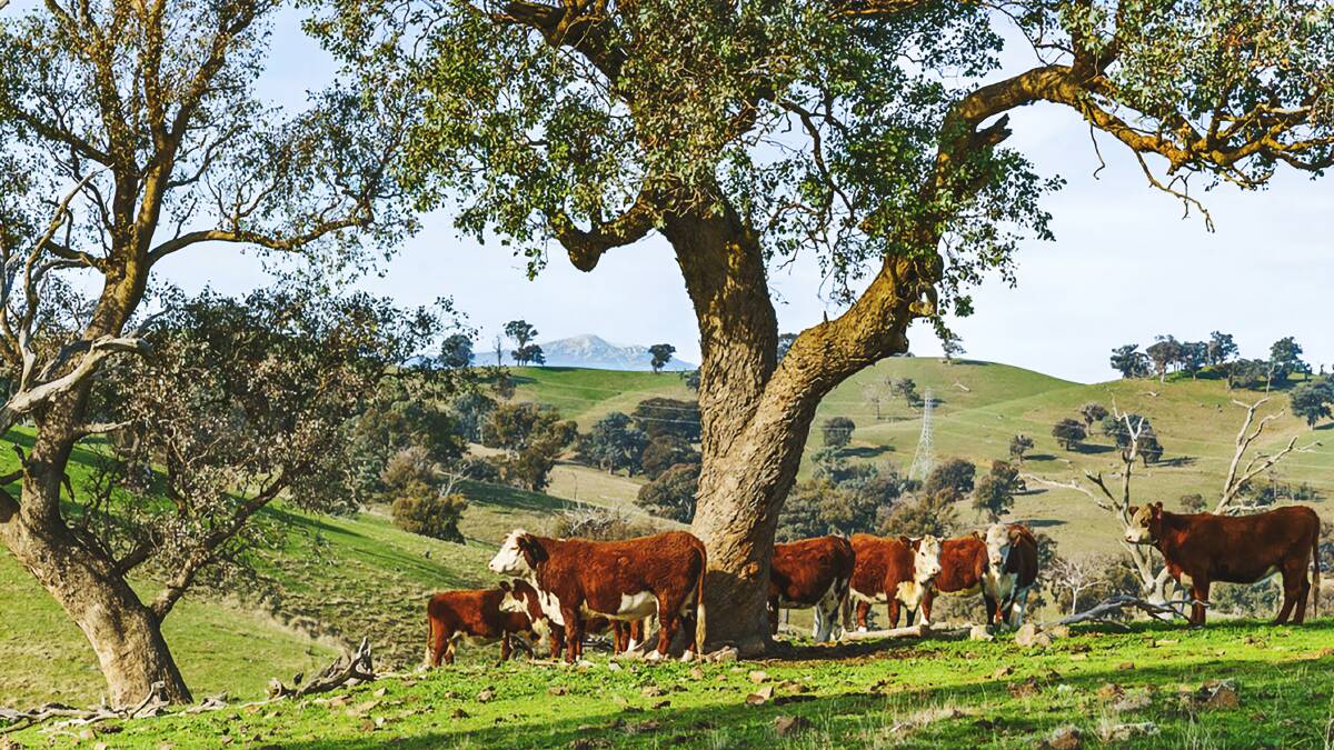 The Nationals want farmers carved out of proposed Scope 3 emissions rules. Picture supplied.