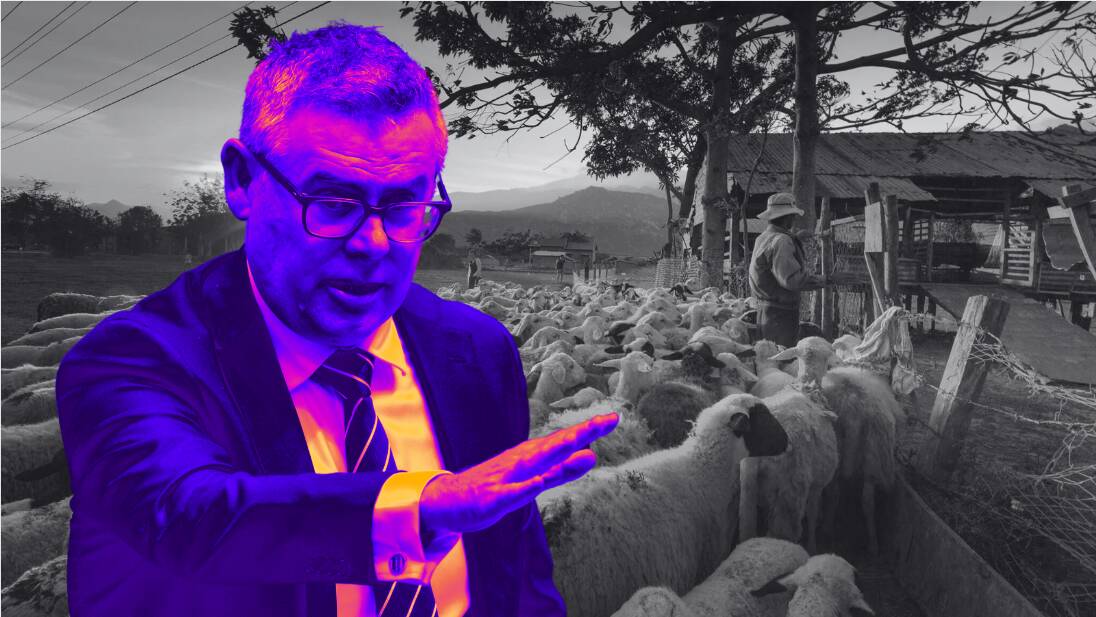 The Minister's Diary: how the live sheep export shutdown unfolded