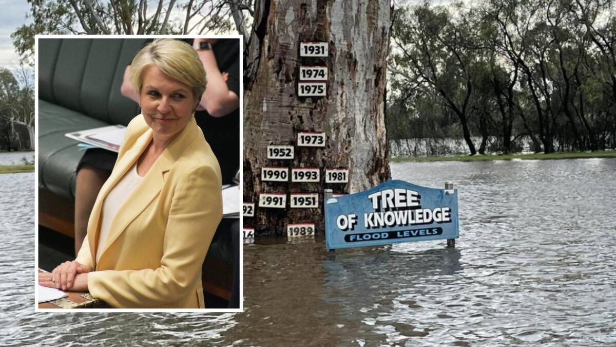 Environment and Water Minister Tanya Plibersek has committed to delivering the Murray-Darling Basin Plan in full. 