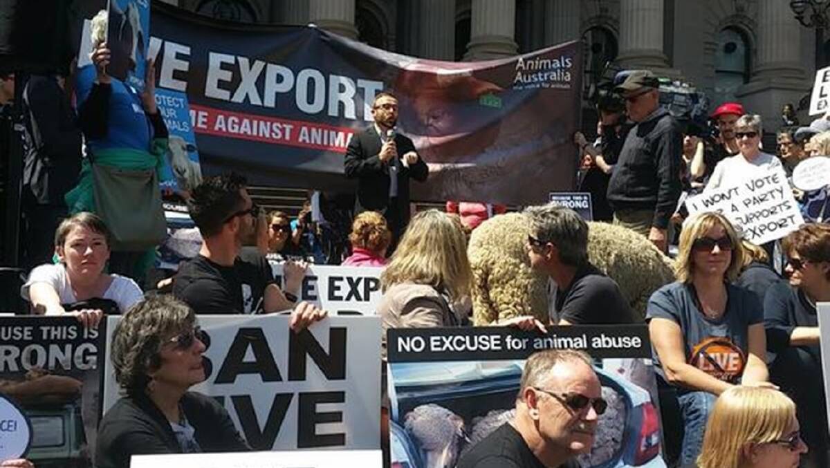 Legislation banning the live export of animals for slaughter and fattening from the UK has passed as pressure mounts against the trade around the globe. Picture supplied.
