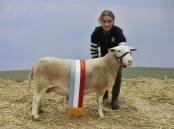 The cleanskin supreme champion UltraWhite ewe with Chloe Mitchell, Gemini Prime Lamb Sires, Werneth.
