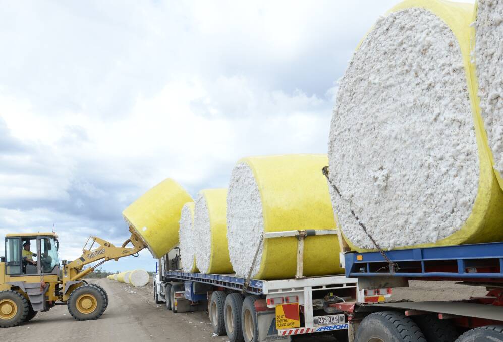 Namoi's five independent directors have unanimously supported the Olam bid for the raw cotton processor. File photo.