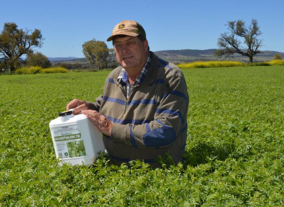 NSW northern slopes farmer, Don Howard, "Wheatlands", Manilla, hopes he has enough fungicide on hand for another two sprays over his 120-hectare chickpea crop before harvest in late November.