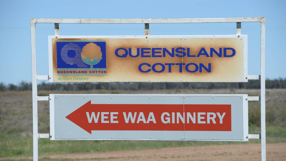 If Olam Agri's Namoi Cotton takeover goes ahead Queensland Cotton could operate gins at Wee Waa, Merah North, Moomin and Boggabri in the Namoi Valley. File photo.