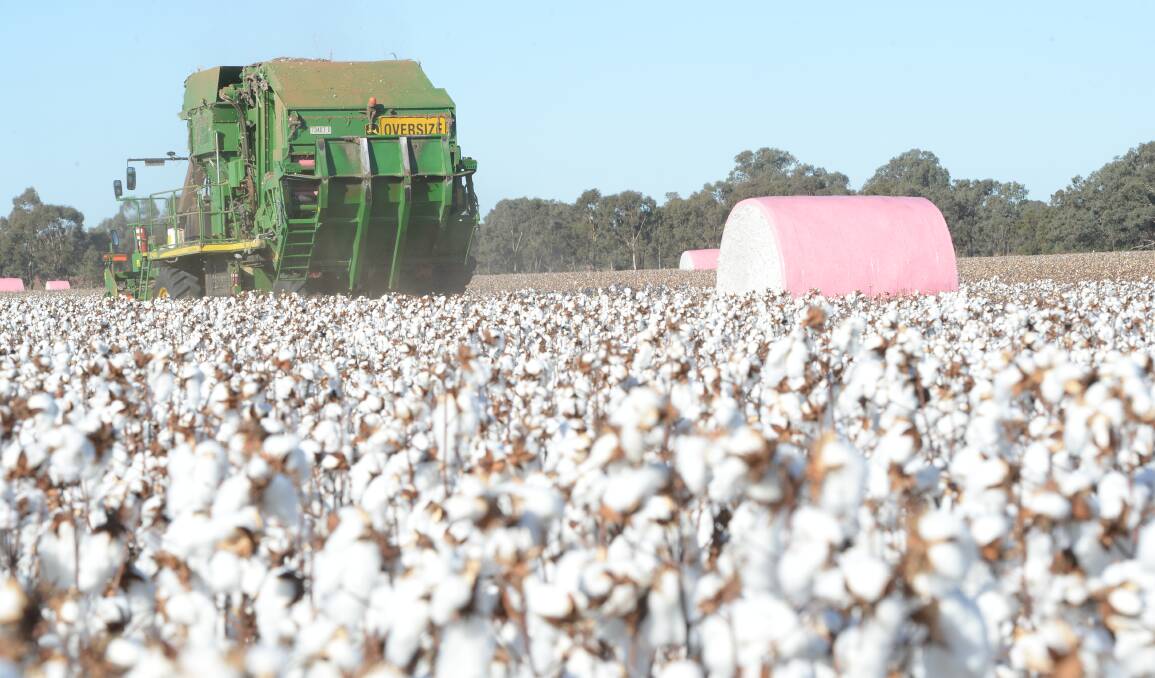The Australian Competition and Consumer Commission has concerns about the takeover ambitions of both Olam Agri (Queensland Cotton) and Louis Dreyfus Company. File photo.