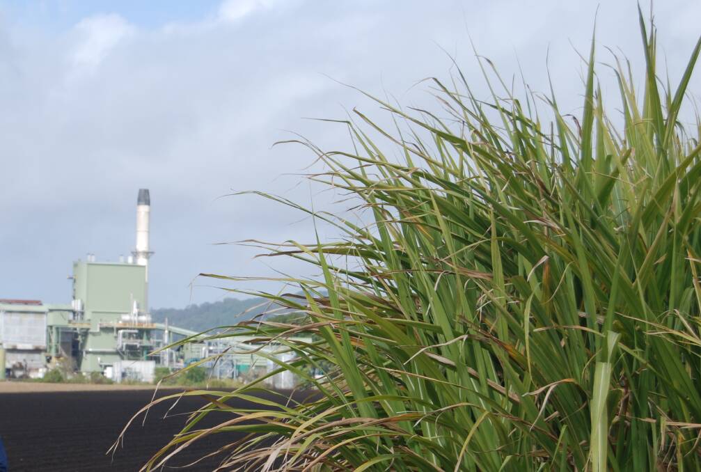 The sugar cane processing sector has the feedstock, technology, capital and infrastructure to invest in biofuel capacity to help abate carbon emissions. File photo.