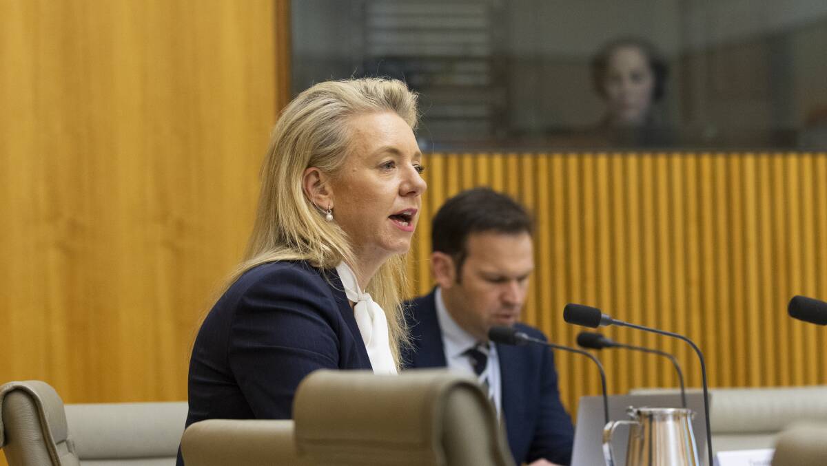 Nationals Senator Bridget McKenzie said the government was attempting to twist the numbers and distort the facts. Photo by Keegan Carroll