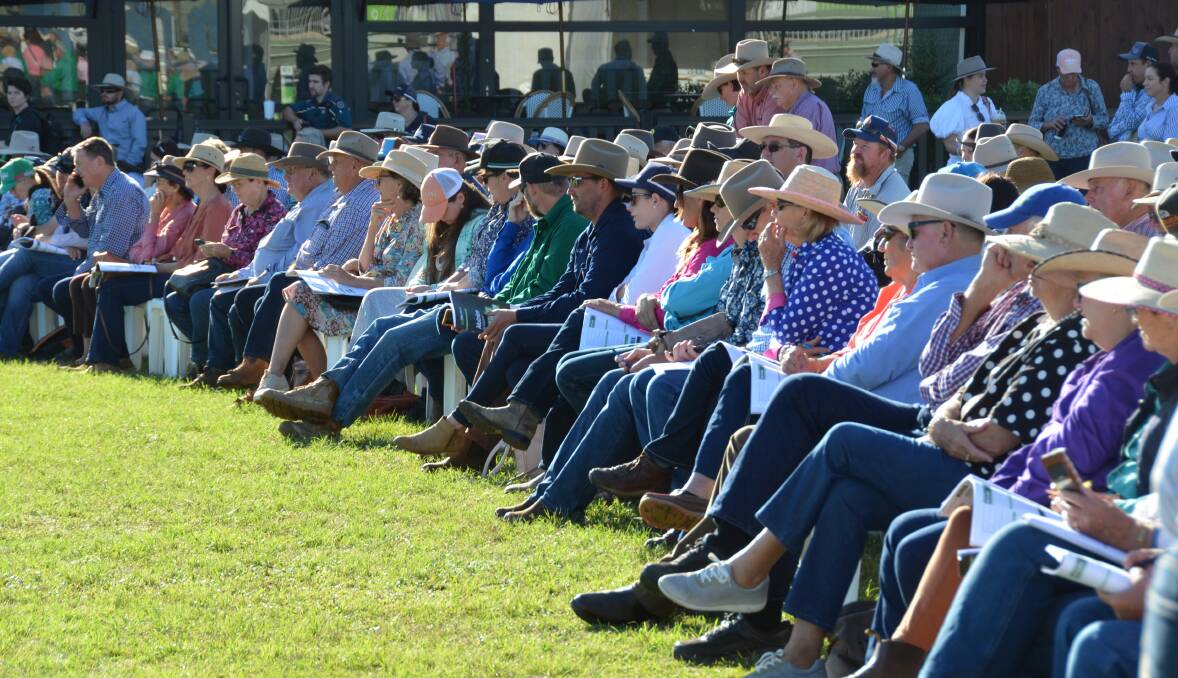 Beef Australia in Rockhampton attracted cattle people from all over Australia and the world. Picture by Bryce Eishold.