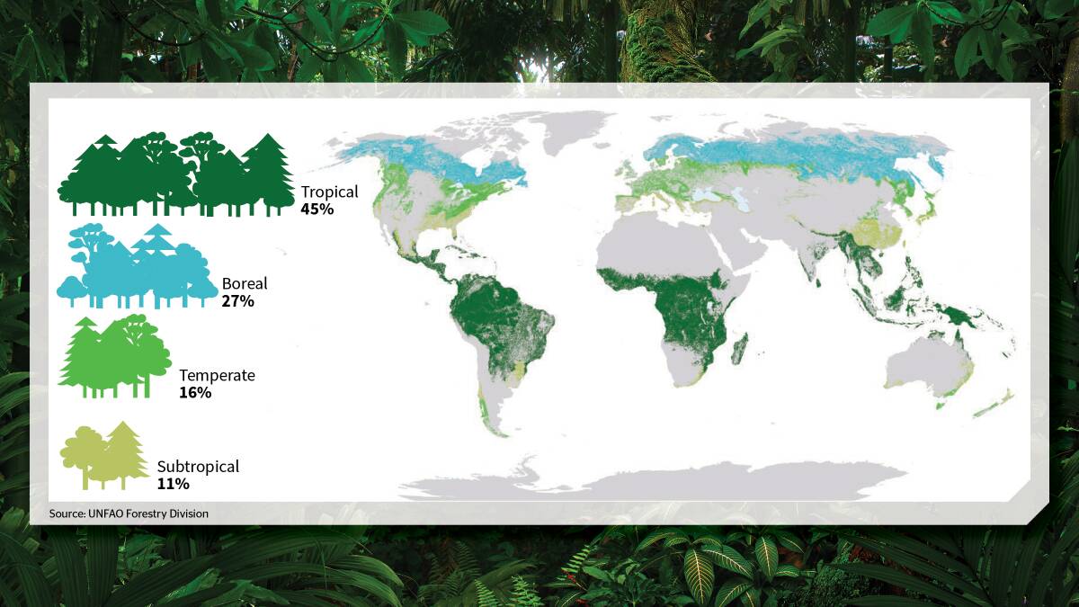 The proportion and distribution of global forest area by climatic domain in 2020; as provided by the forestry division of the Food and Agriculture Organisation of the United Nations. 