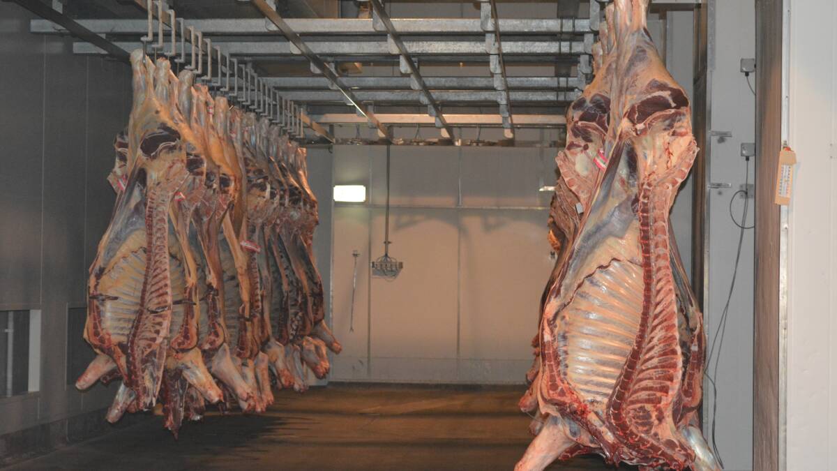 More consultation please but tick of approval for carcase measuring plan