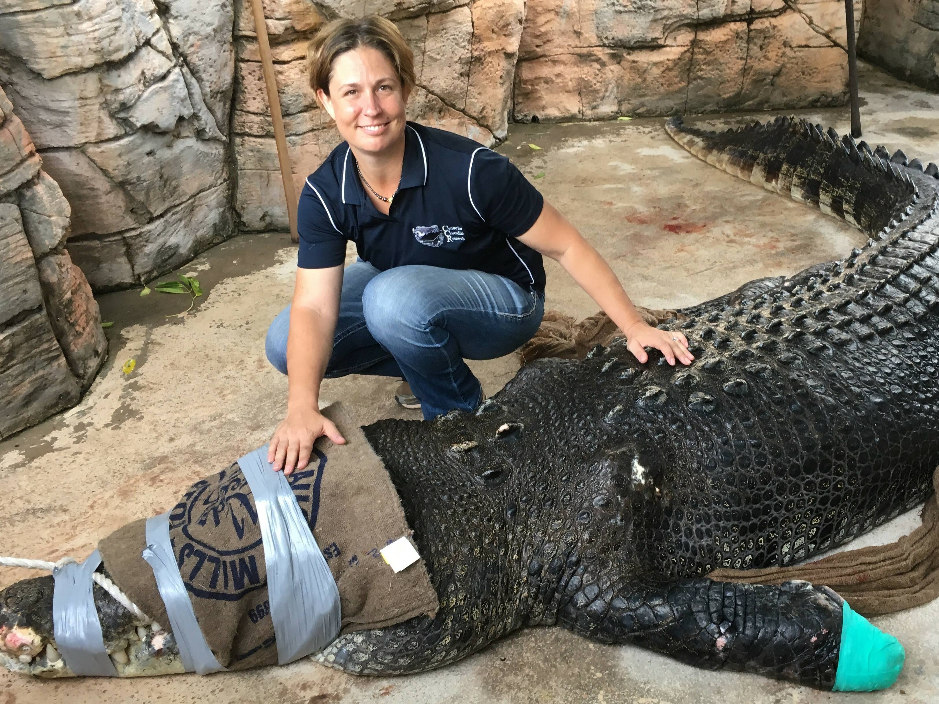 Louis Vuitton and Hermes turn our saltwater crocodiles into high