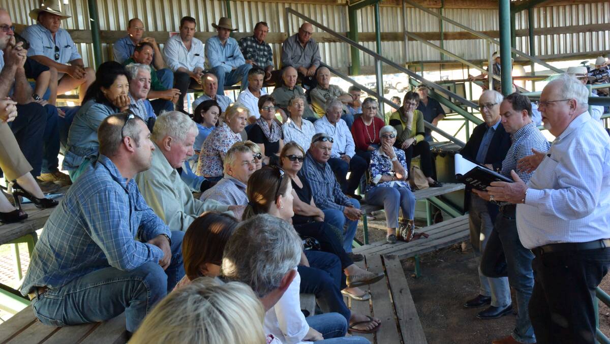 Queensland LNP Senator Barry O'Sullivan and Australian Meat Industry Council chair Lachie Hart address beef producers at a public meeting at Roma saleyards yesterday afternoon.