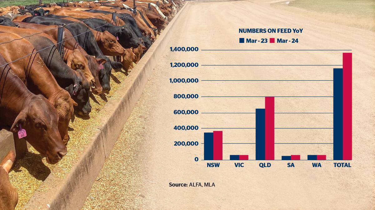 Cattle on feed numbers across most states have increased.
