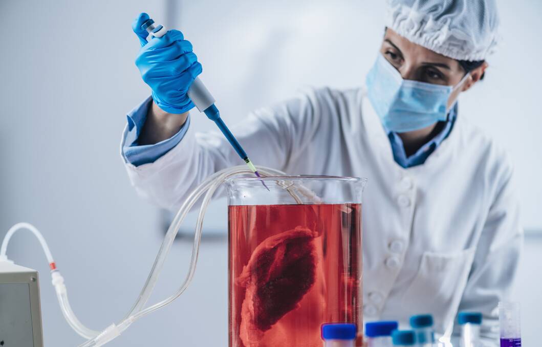 Meat grown in a laboratory won't stack up environmentally, science is showing. Picture via Shutterstock.