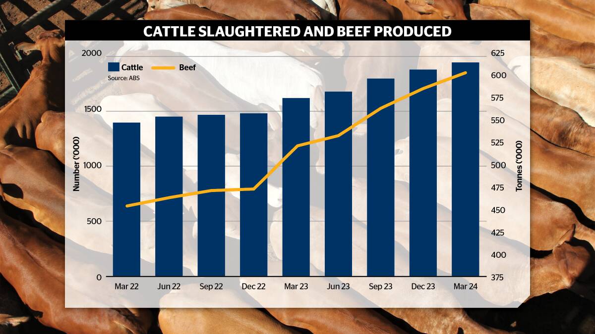 Cattle slaughter and beef production continues to increase but whether producer sentiment is in a state of rebuild or simply holding steady is up for debate. 