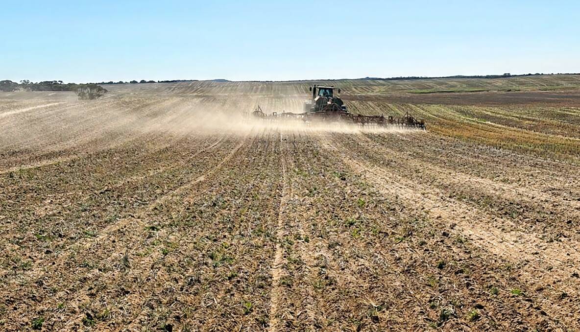 This season's crops have already been sown across this cropping property for sale north of Nhill in the west Wimmera. Pictures from Driscoll and Co. Nhill.