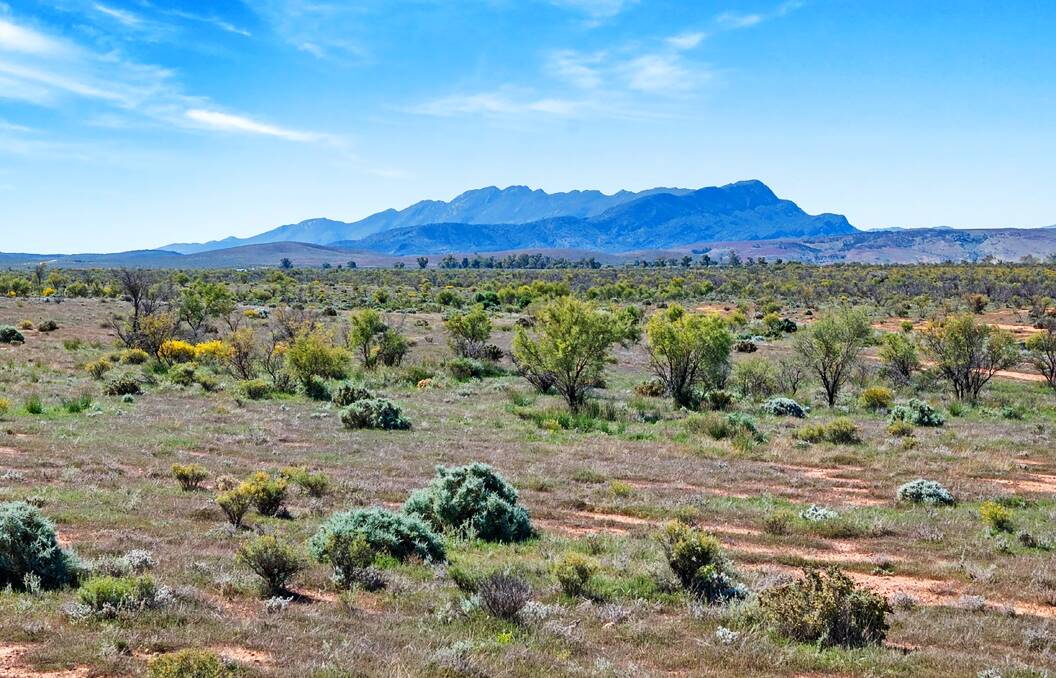 Low rainfall but large scale grazing is offered at the gateway to the Flinders Ranges. Pictures and video from Ray White Rural SA.