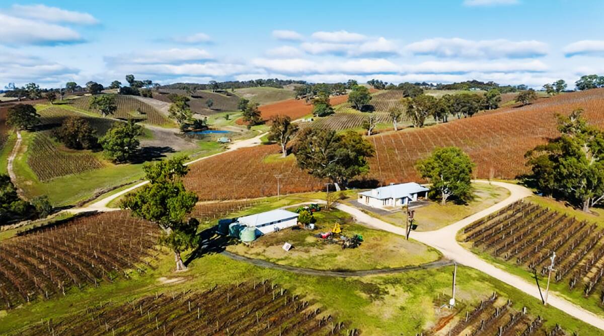 Might be a good time to buy your dream vineyard close to the city. Pictures from Colliers.