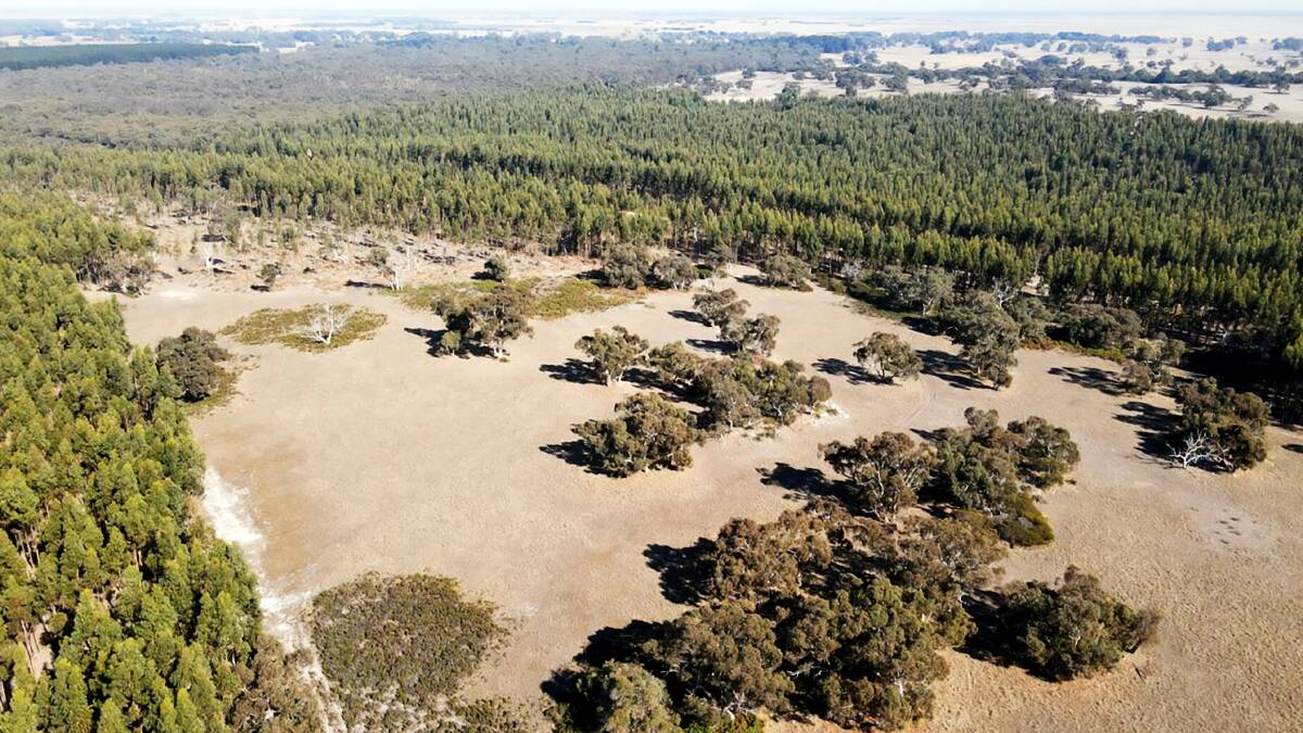 Buyers have been asked to do their sums on this farm for sale in the Lucindale district which hosts a blue gum plantation. Pictures from TDC Livestock and Property and Ottoson Partners Real Estate.
