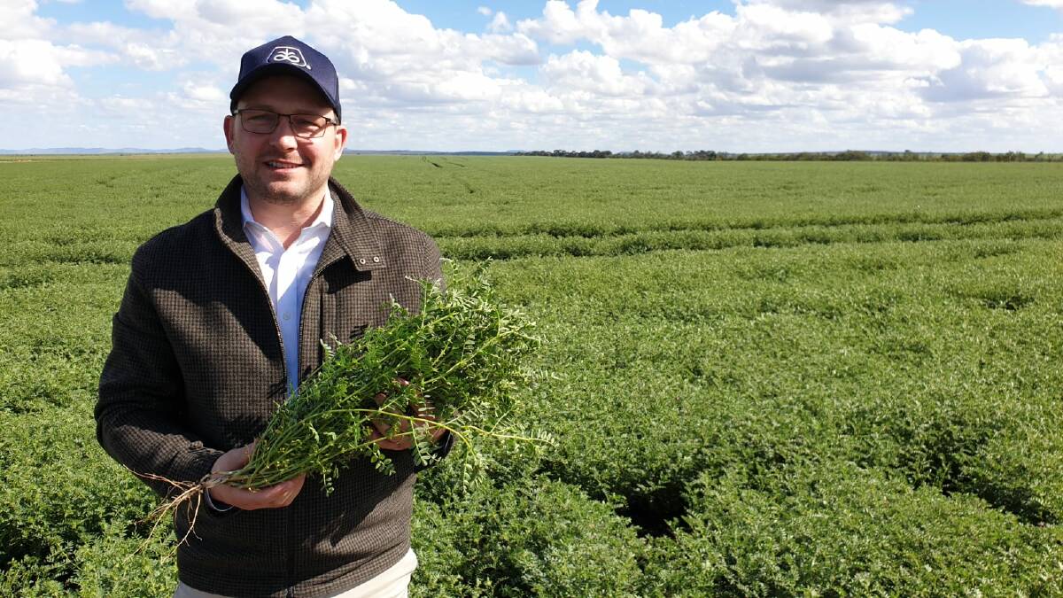 Stefan Meyer, StoneX, believes grain production estimates across Australia are falling on the back of hot weather cutting yield potential. Photo courtesy StoneX.