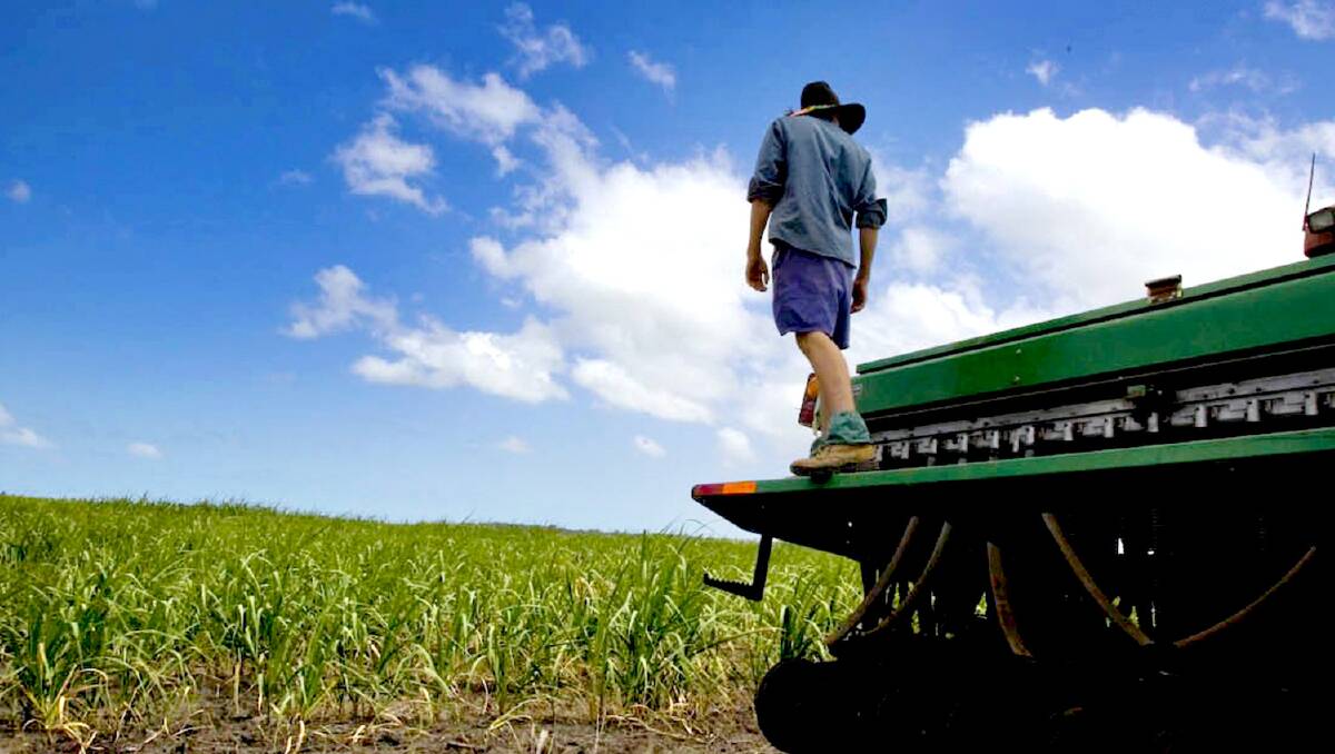 Australian sugar cane farmers are disappointed with the recent decline in sugar values.