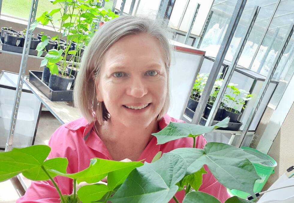 Lisa Bird is a finalist in the Cotton Australia researcher of the year awards. Photo supplied.