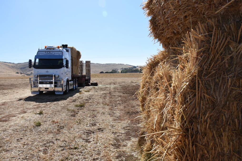 Hay will be in strong demand in southern regions until at least the start of spring. File photo.
