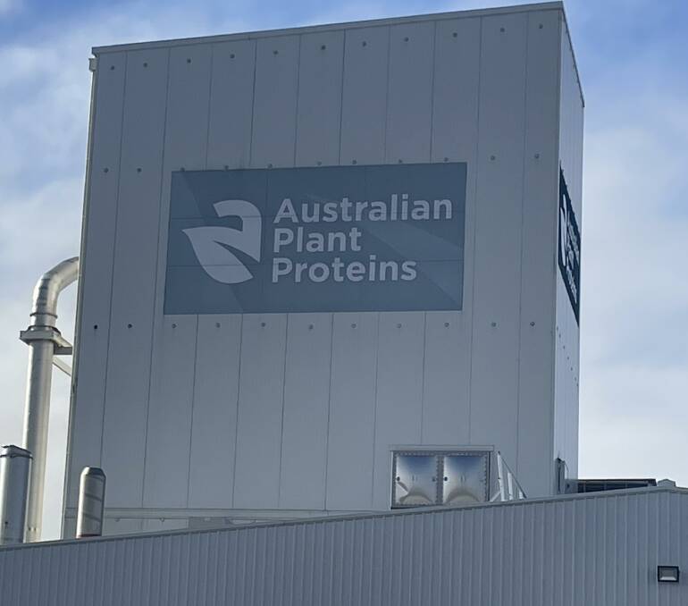 APP extracts high protein isolates from pulse crops such as faba beans. Photo by Gregor Heard.