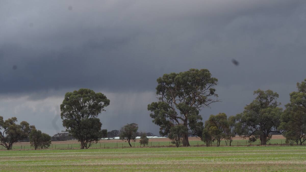 Storms caused significant damage in north-west Victoria, eastern SA and south-western NSW last Friday.