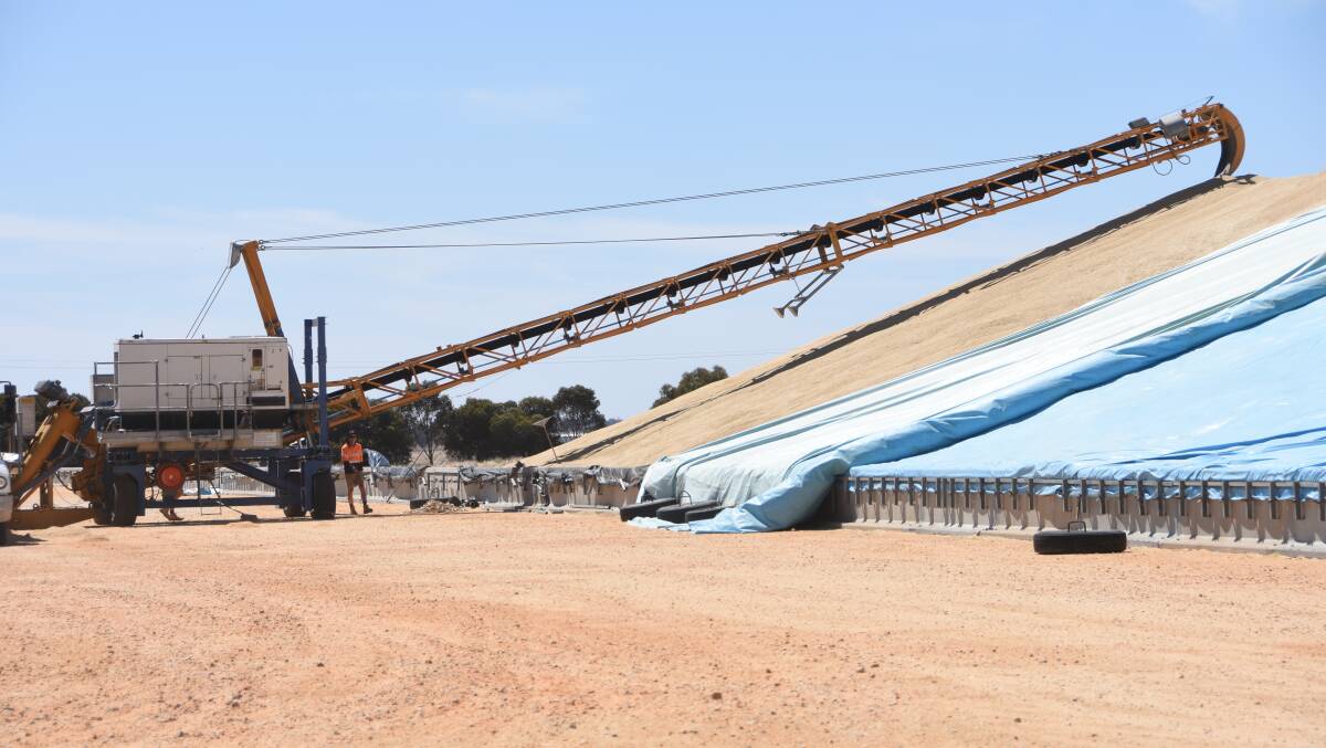 Australian grain will compete against European and Russian product into key Asian markets. Photo by Gregor Heard.