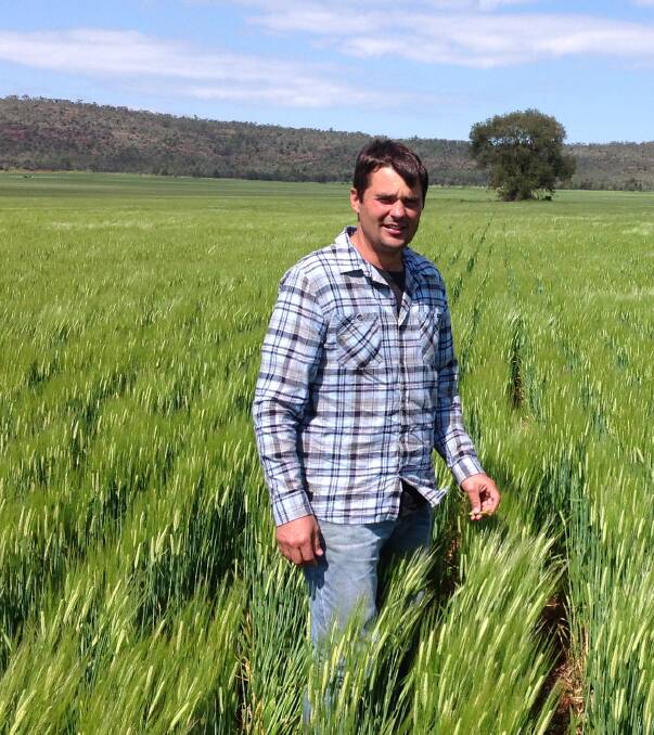 Rankin Springs, NSW, farmer Andy Ryan is thrilled with the development of his Spartacus CL barley crop.