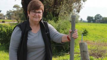 Bamawm dairy farmer Ann Gardiner agrees the processors were "jumping up and down" about the Dairy Code of Conduct. File picture