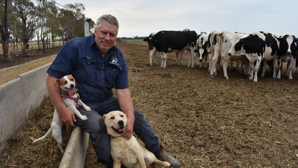 Tongala dairy farmer Andrew Tyler says water buybacks were a "major threat" to dairy farmers in northern Victoria and the southern Riverina. Picture by Andrew Miller