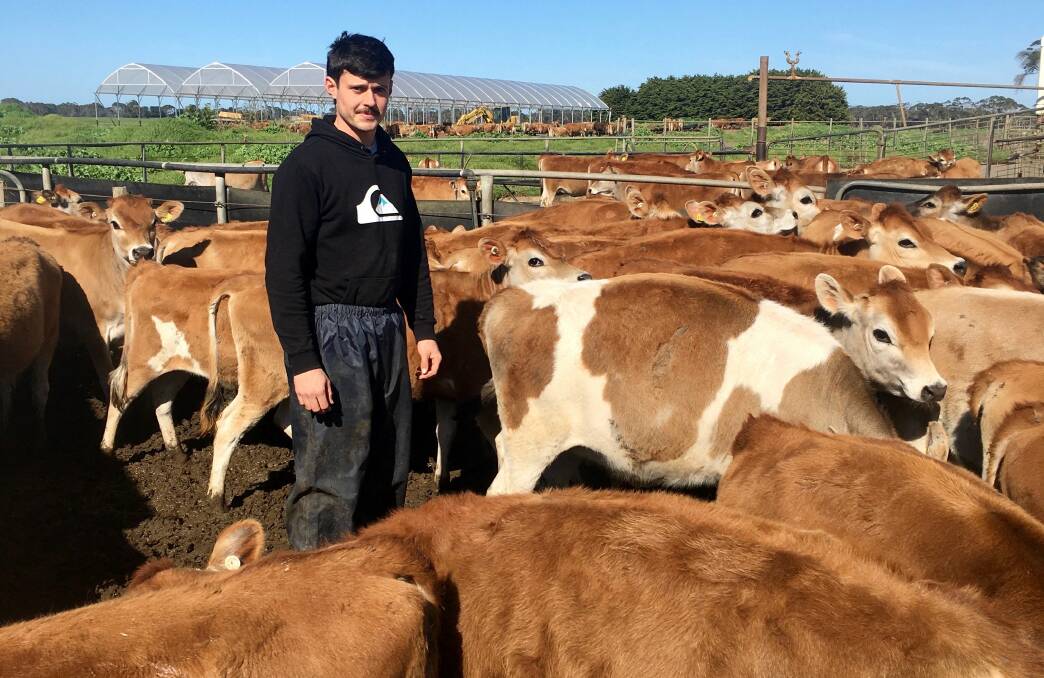 Nullawarre dairy farmer Sam Kermond will be joining other young people on a study tour of New Zealand. Picture supplied by DemoDairy
