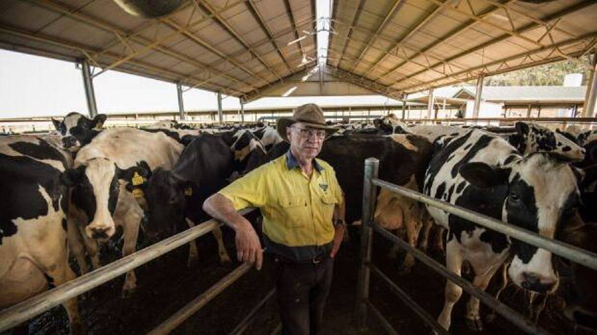 Colin Thompson was a real leader in the industry and was passionate about dairy farming. File picture 