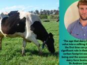 DairyUp researcher Dr Andrew Lean is using global data and on-farm monitoring in NSW to work out the optimal time for Holstein heifers to calve for the first time. Picture supplied 