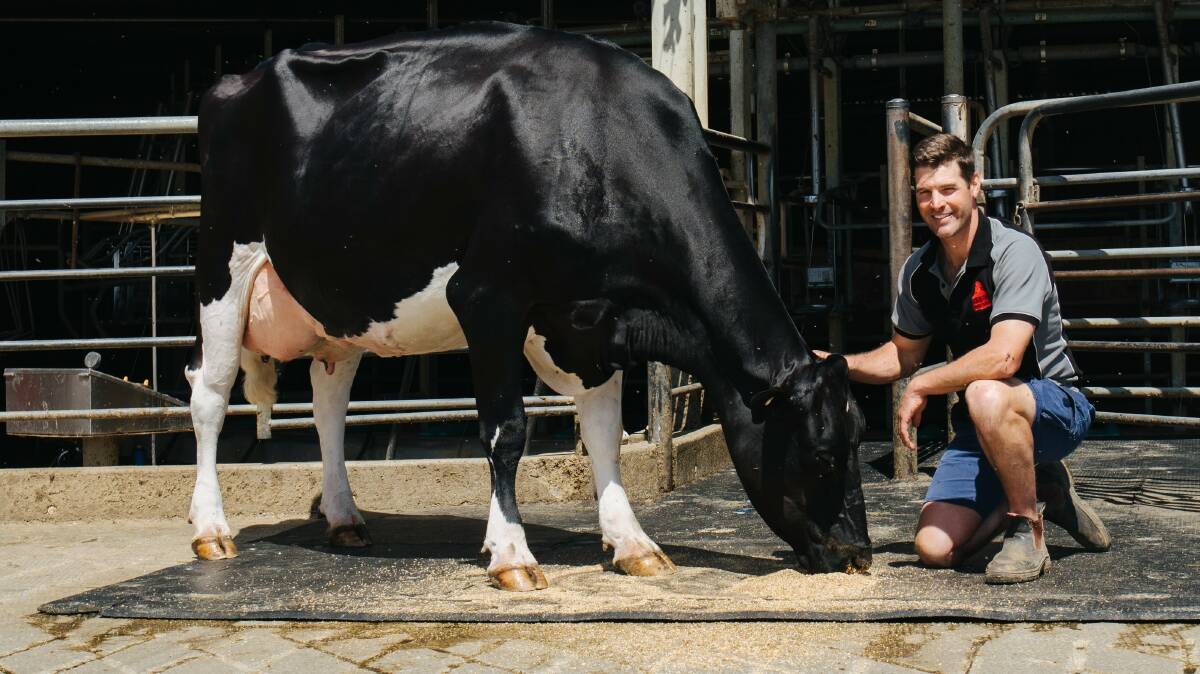 Maebull with Calivil, Vic, dairy farmer Craig Lister, who sold the bull to Genetics Australia. Picture supplied