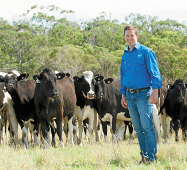 South Gippsland dairy and beef producer and DataGene director Tim Jelbart says the National Breeding Objective is an opportunity for dairy farmers to incorporate what they need and want from their future herds. File picture 