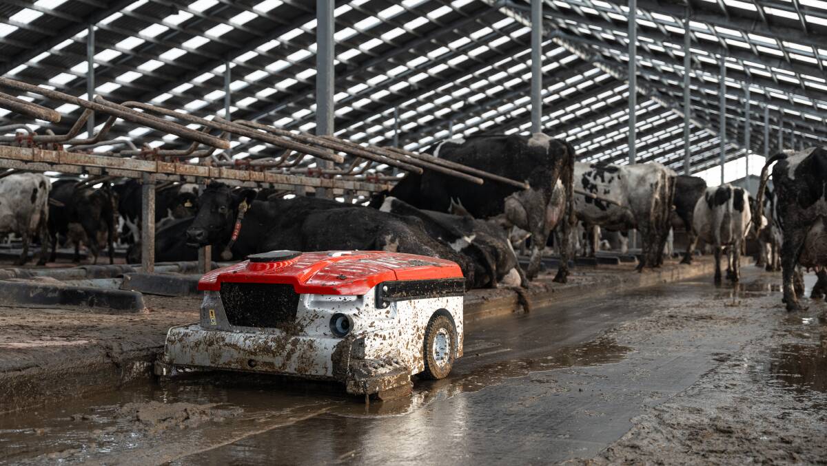 The Lely Discovery Collector C2 vacuum pump cleaner in operation in a dairy barn in New Zealand. Picture supplied by Lely