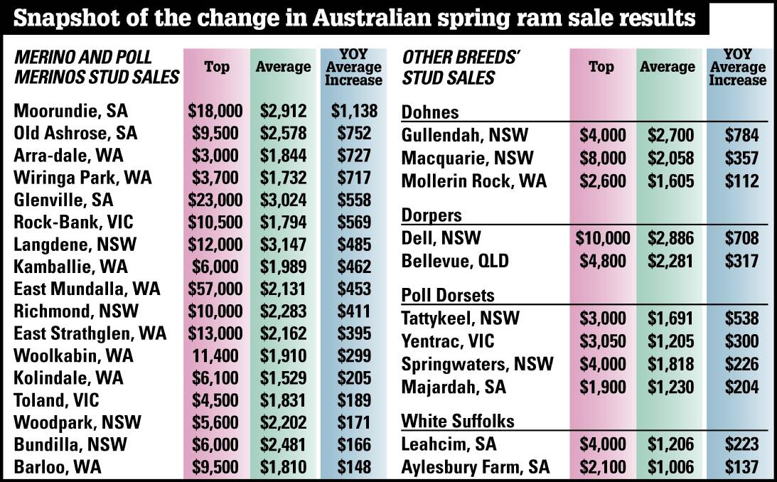 Rain and grain behind soaring ram prices